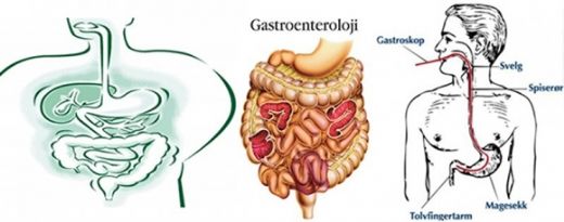 Gastroenteroloji Hastalıkları
